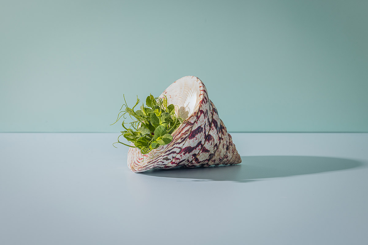 Berufsfotograf _LL_eurest_powerbyplants_2023_0014