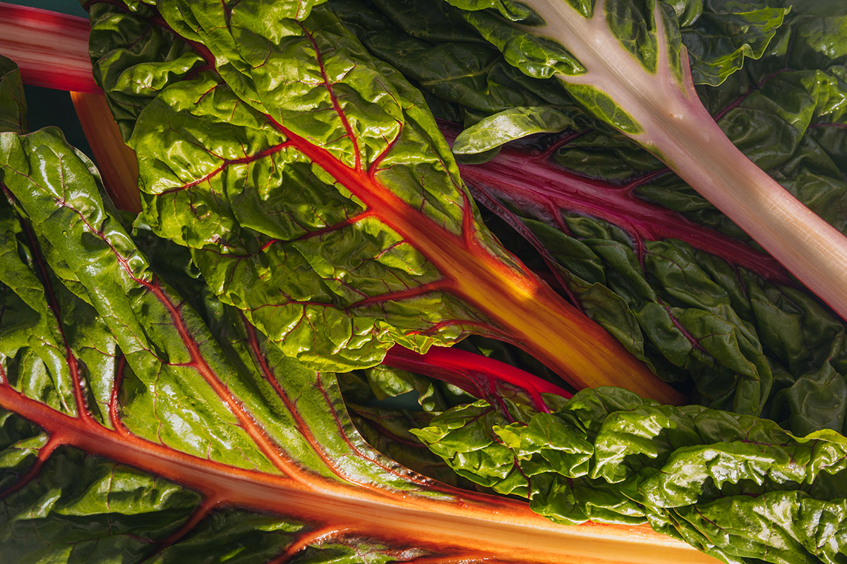 Berufsfotograf _LL_eurest_powerbyplants_2023_0307