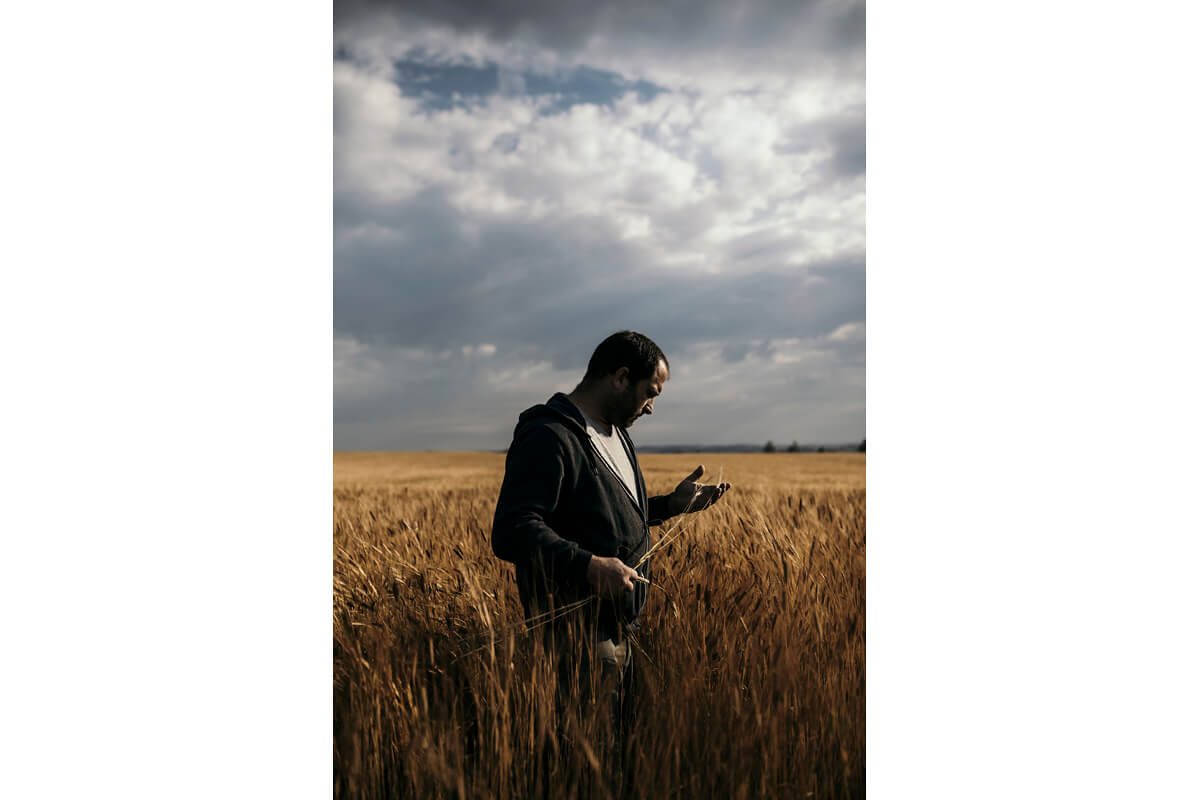 Berufsfotograf 08_LL_Stroeck_Kornfeld_0269