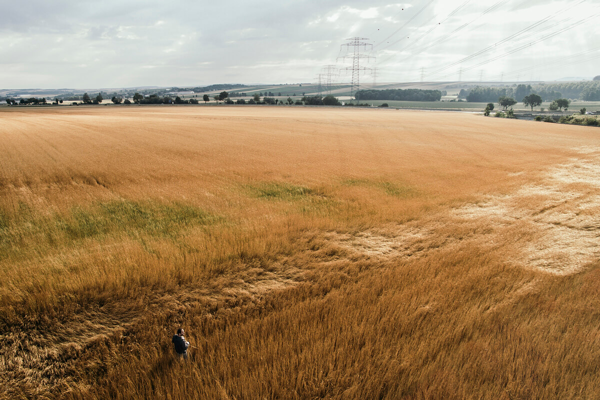  09_LL_Stroeck_Kornfeld_0509 